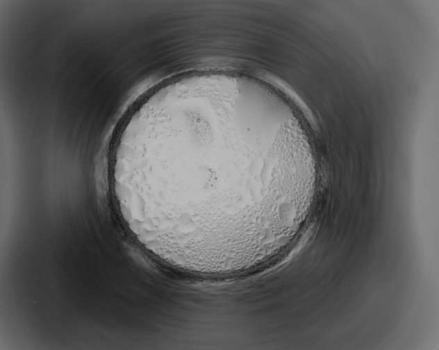 X0000086781075200705111750