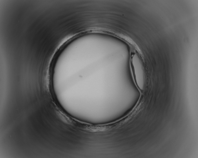 X0000086781076200705111750