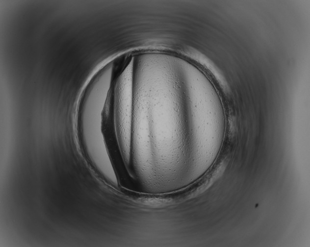 X0000086781077200705111750