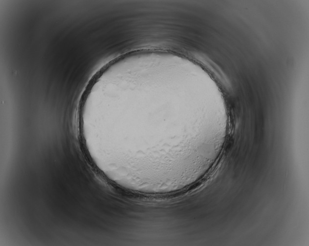 X0000086781079200705111750