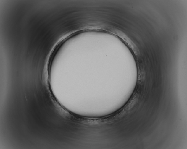 X0000086781080200705111750