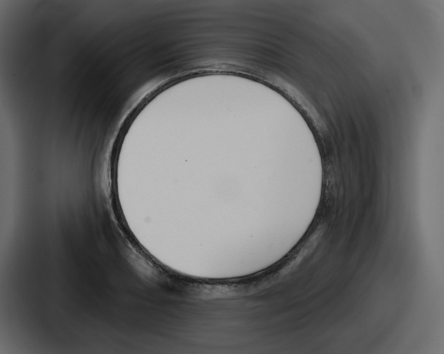 X0000086781082200705111750