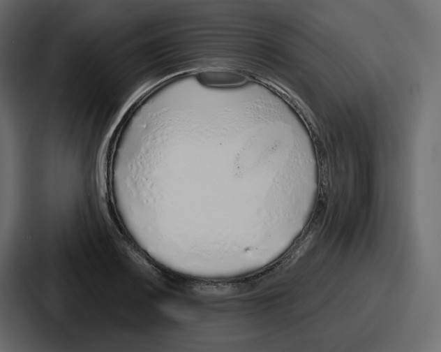 X0000086781083200705111750