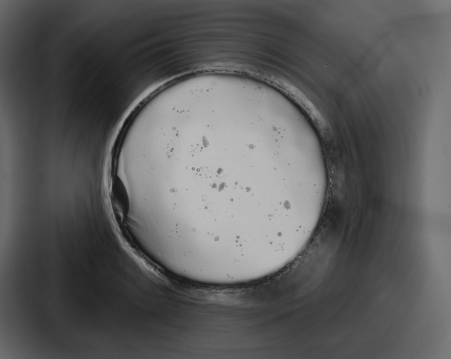 X0000086781084200705111750