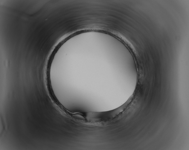 X0000086781085200705111750