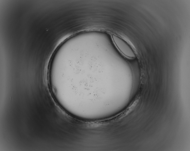 X0000086781087200705111750