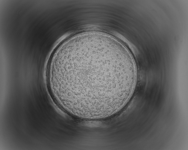 X0000086781090200705111750