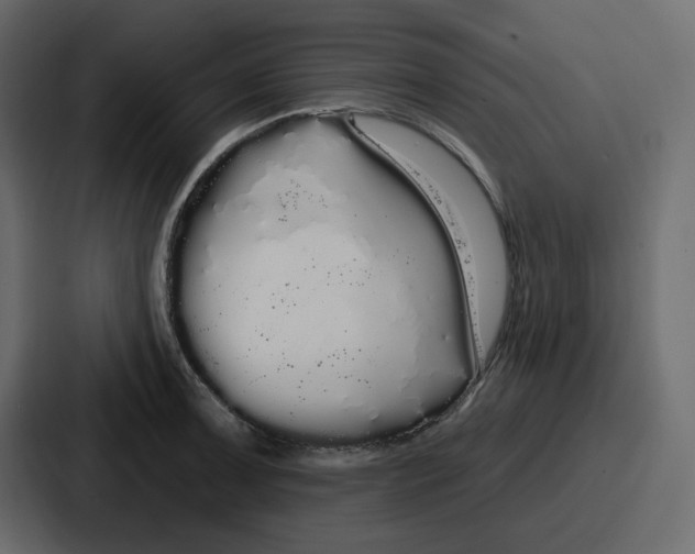 X0000086781091200705111750