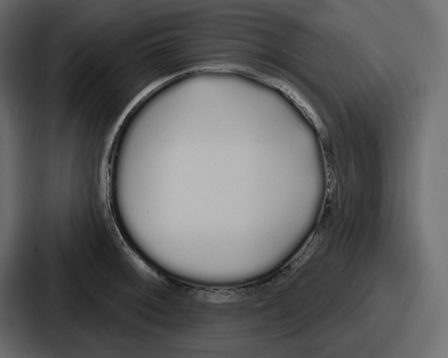 X0000086781092200705111750