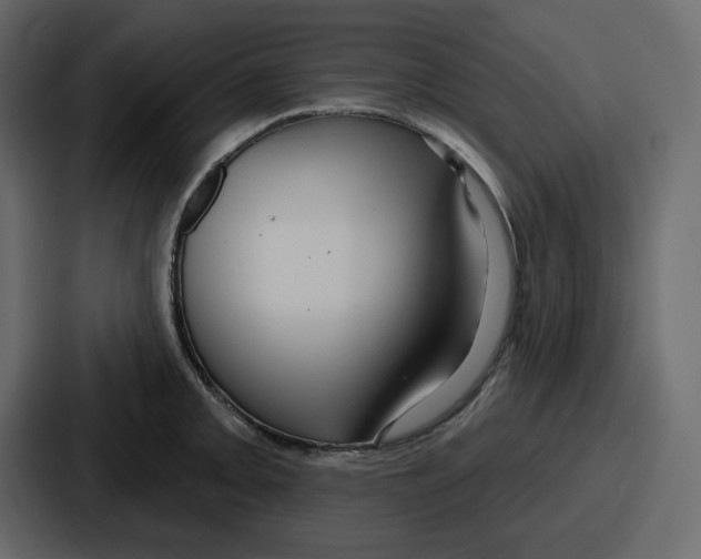 X0000086781093200705111750