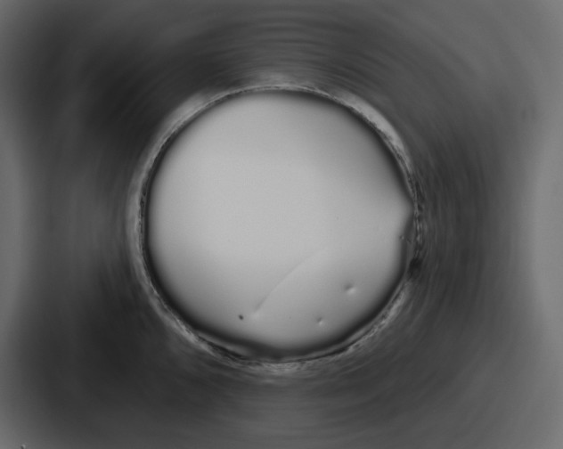 X0000086781096200705111750