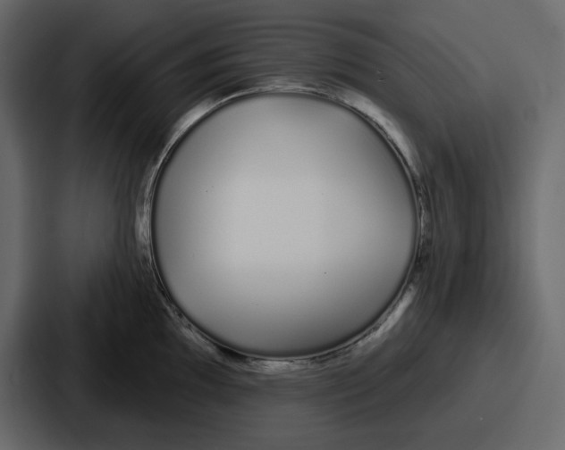 X0000086781097200705111750