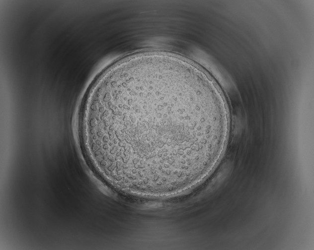 X0000086781098200705111750