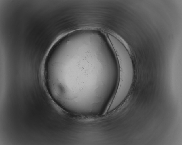 X0000086781099200705111750