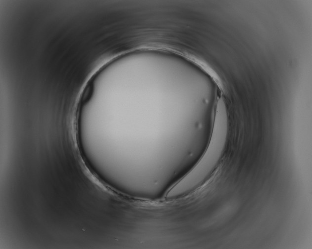 X0000086781100200705111750