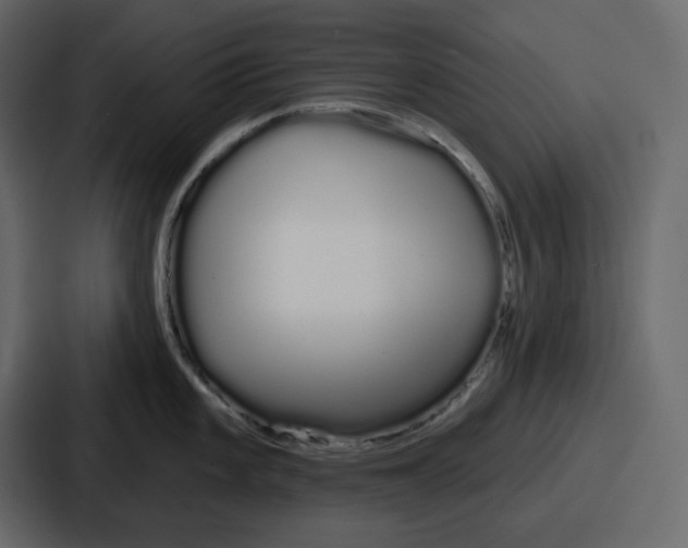 X0000086781101200705111750