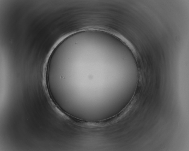 X0000086781102200705111750