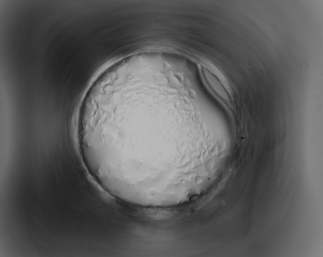 X0000086781103200705111750