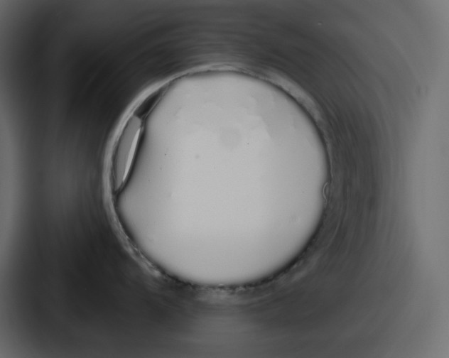 X0000086781104200705111750