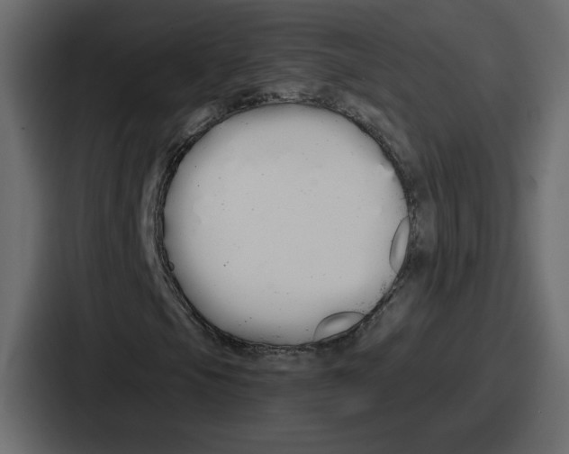 X0000086781105200705111749