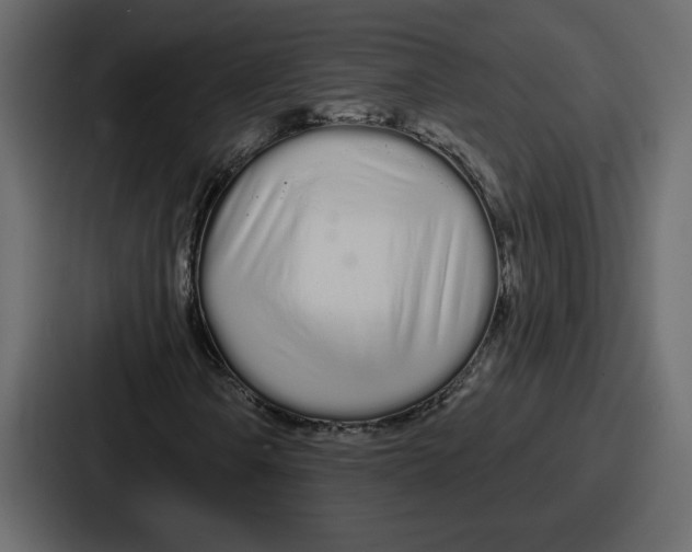 X0000086781106200705111749