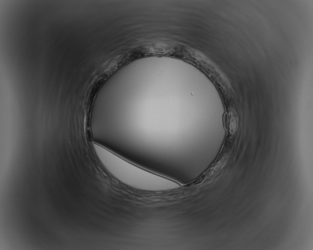 X0000086781108200705111749