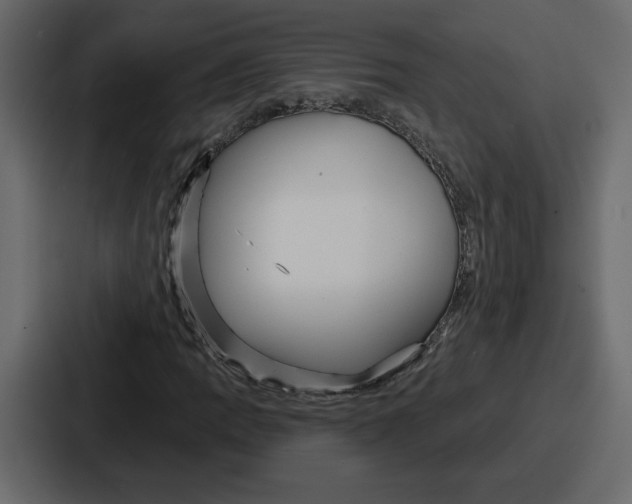 X0000086781109200705111749