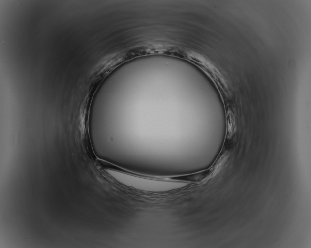 X0000086781110200705111749