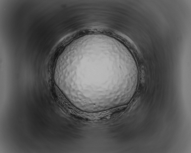 X0000086781112200705111749