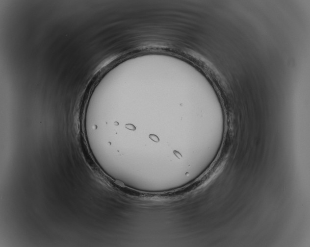 X0000086781113200705111749