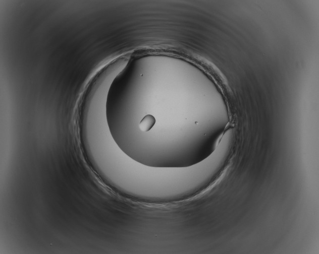 X0000086781114200705111749