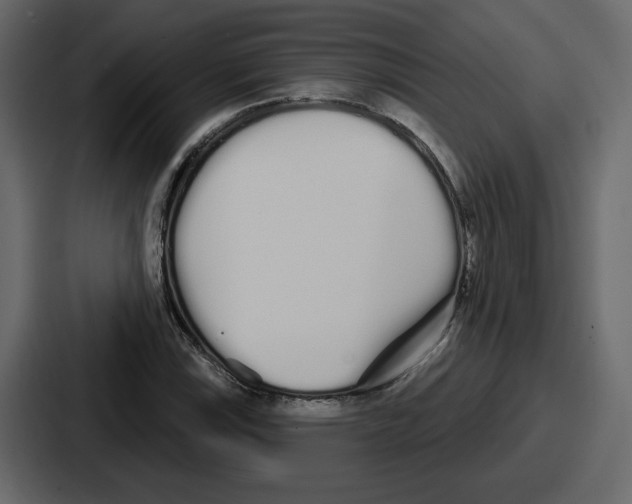 X0000086781115200705111749