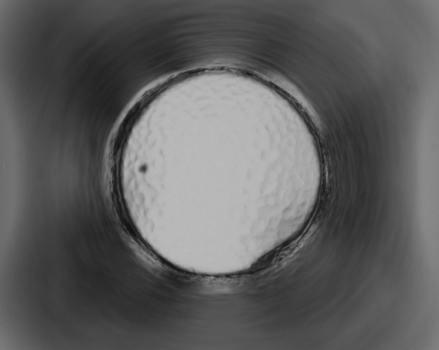 X0000086781116200705111749