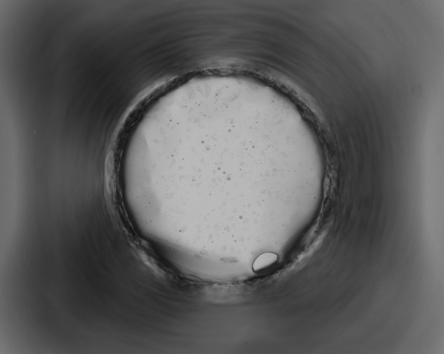 X0000086781117200705111749