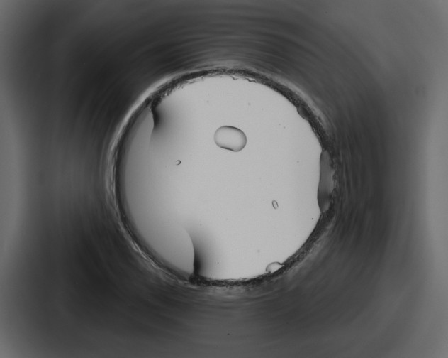 X0000086781118200705111749