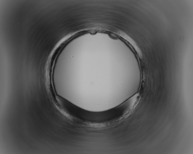 X0000086781120200705111749