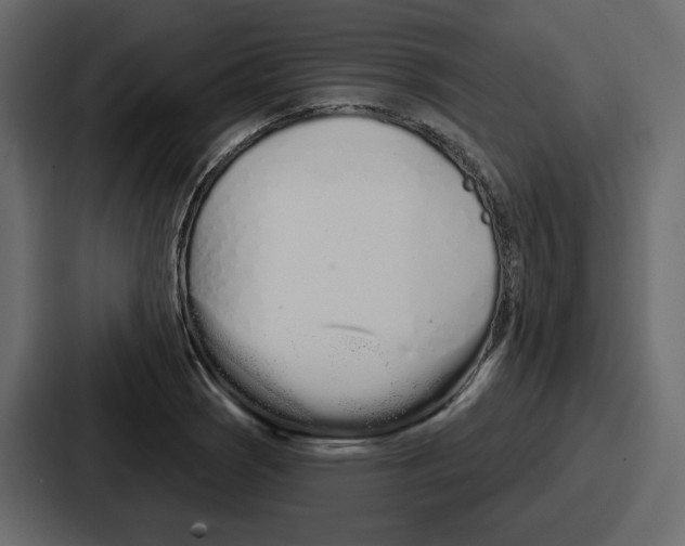 X0000086781121200705111749