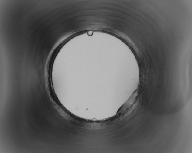 X0000086781122200705111749