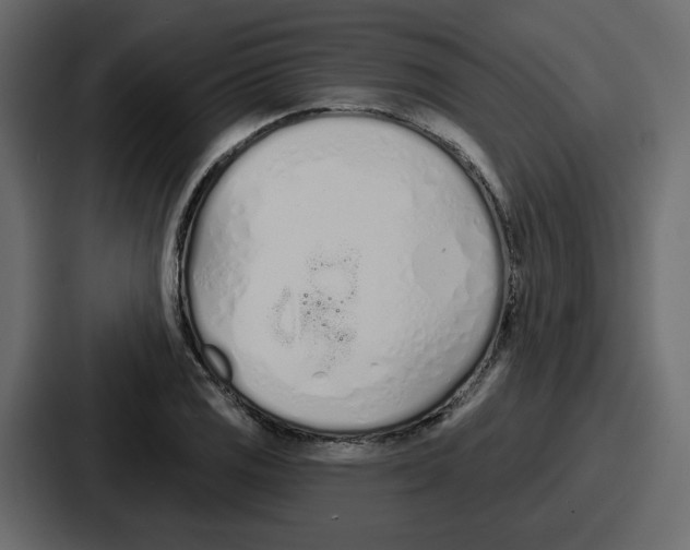 X0000086781125200705111749