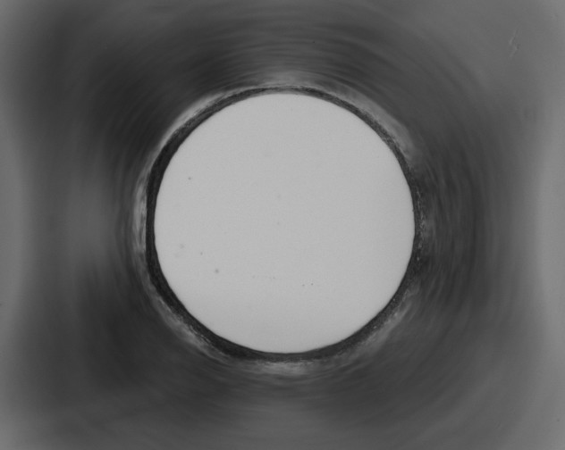 X0000086781126200705111749