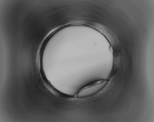 X0000086781127200705111749