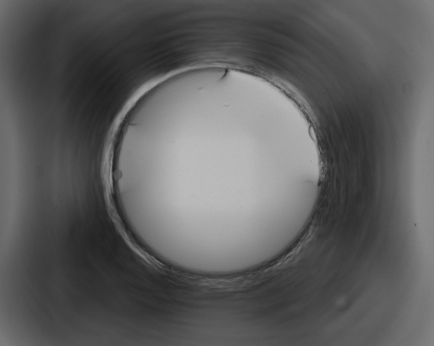 X0000086781128200705111749