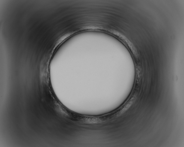 X0000086781129200705111750