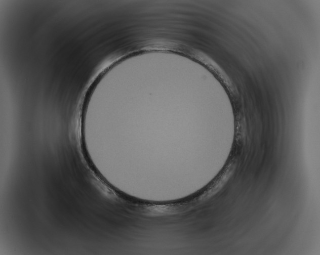 X0000086781130200705111750