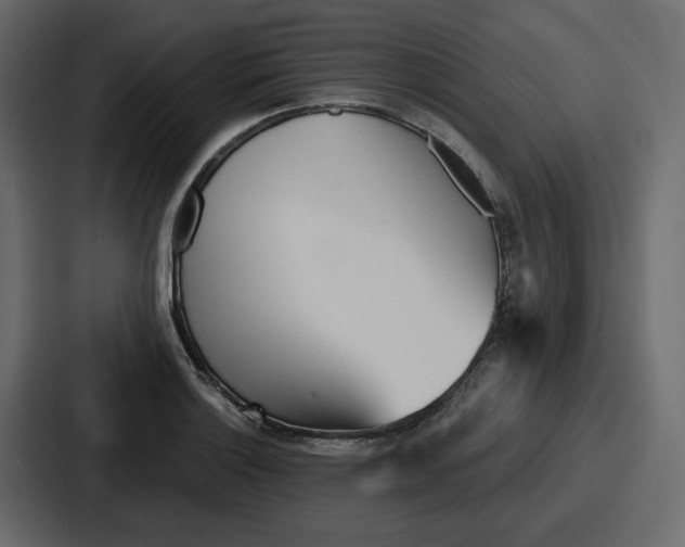 X0000086781132200705111750