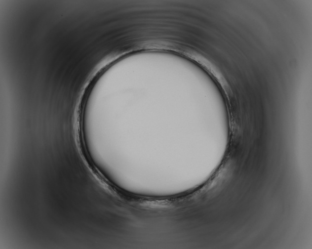 X0000086781133200705111750