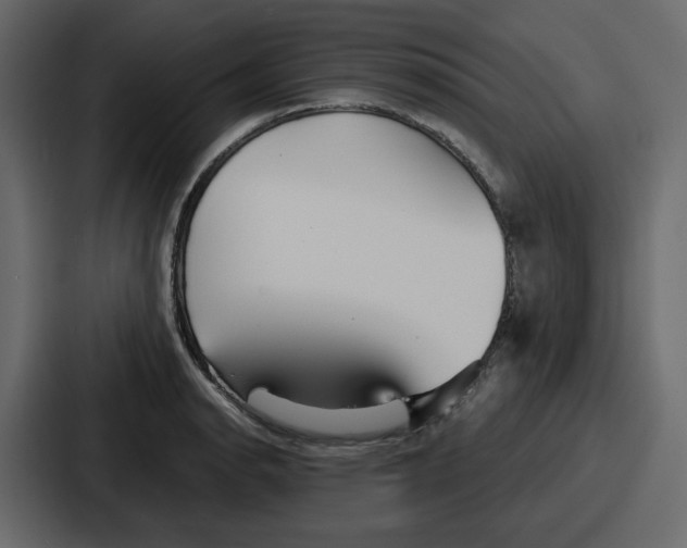 X0000086781134200705111750