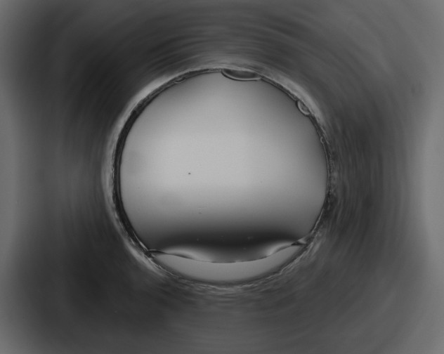 X0000086781136200705111750