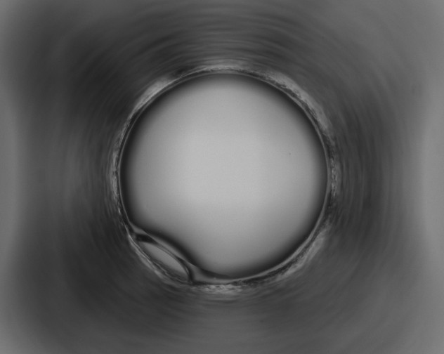 X0000086781137200705111750