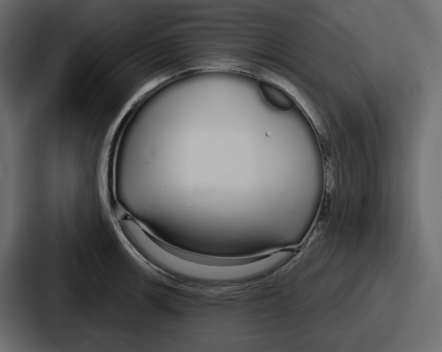 X0000086781139200705111750